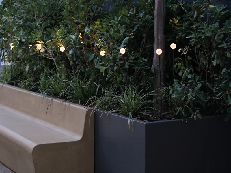 Stique globes in a raised planter